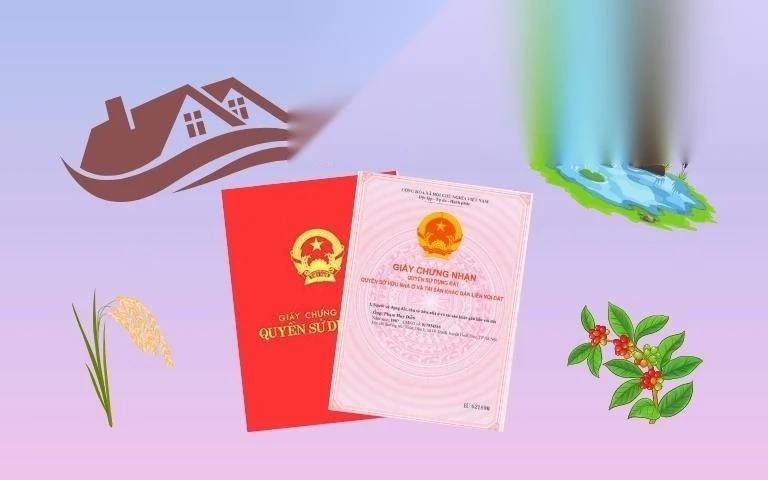 muc dich su dung dat la gi phan loai muc dich su dung dat image 01