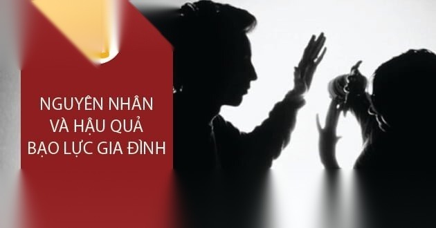 nguyen nhan va hau qua bao luc gia dinh image 01