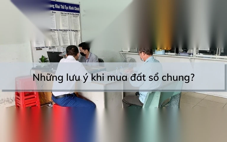 nhung luu y khi mua dat so chung image 01