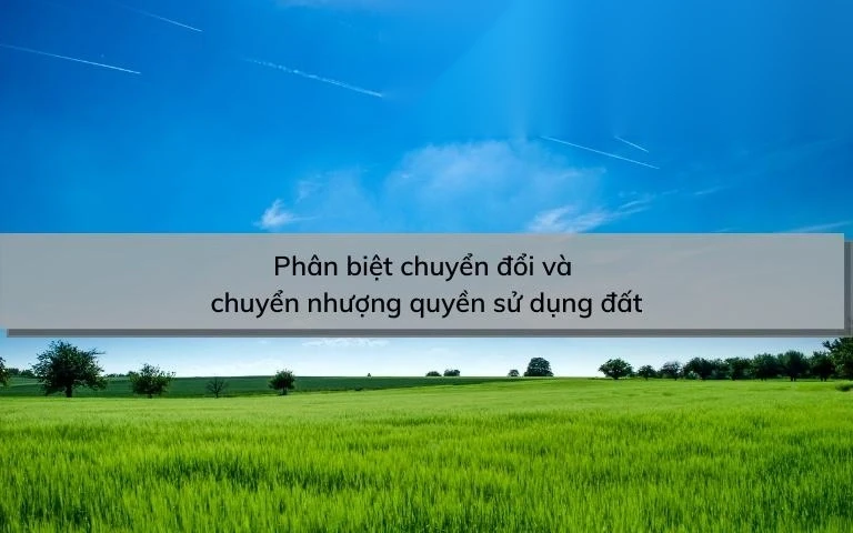 phan biet chuyen doi va chuyen nhuong quyen su dung dat image 01