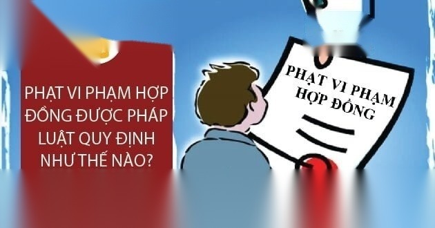 phat vi pham hop dong image 01