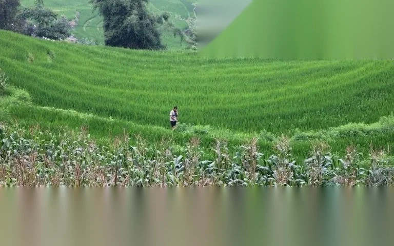 quy dinh ve thu hoi dat nong nghiep image 01