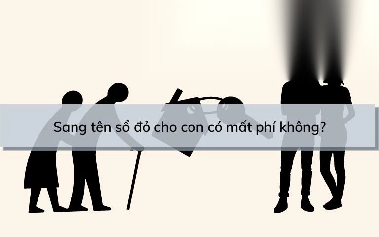 sang ten so do cho con co mat phi khong image 01