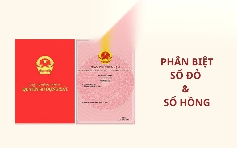 so do la gi so hong la gi phan biet so do va so hong image 01