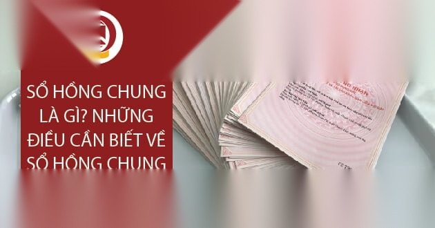 so hong chung image 01