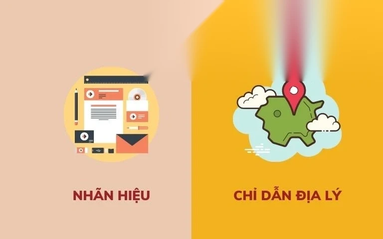 so sanh nhan hieu va chi dan dia ly image 01