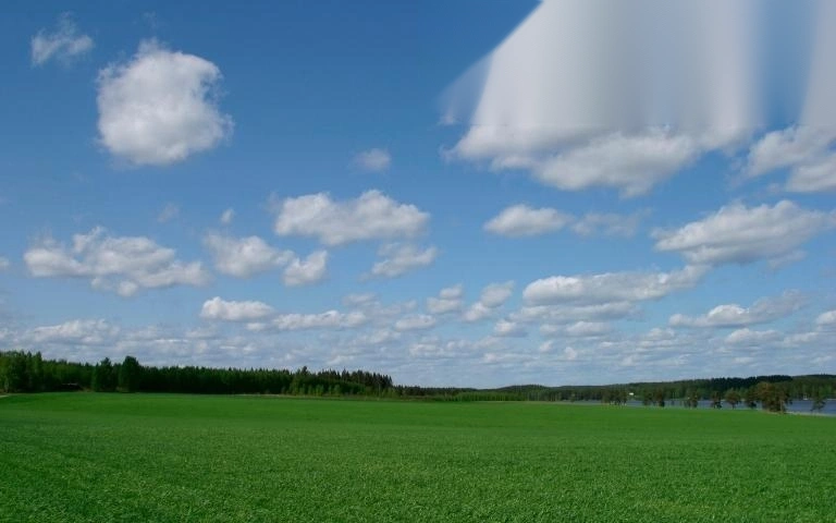 su dung dat sai muc dich se bi nhu the nao image 01