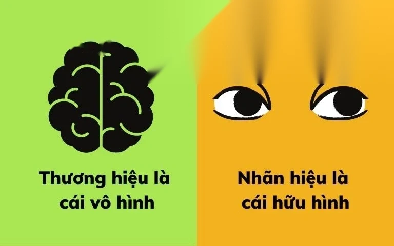 su khac biet giua thuong hieu va nhan hieu image 01