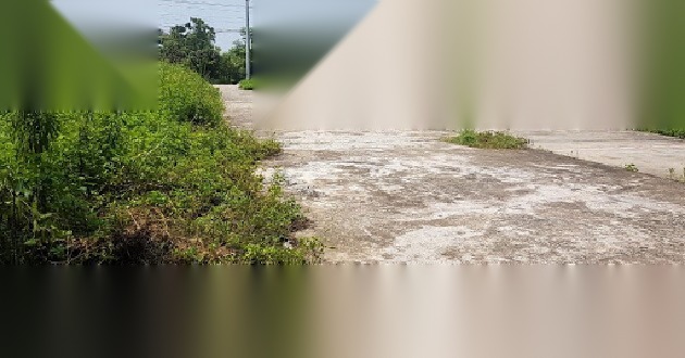 tham dinh nhu cau su dung dat image 02