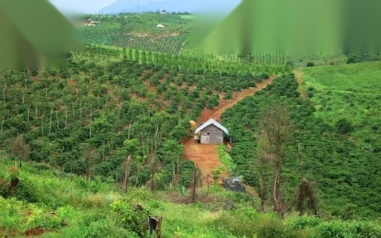 thu hoi dat rung san xuat co duoc boi thuong khong image 01