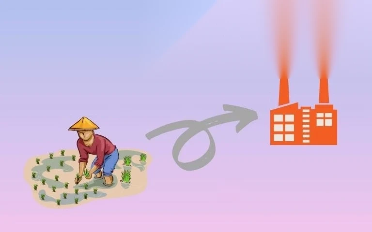 thu tuc chuyen doi dat nong nghiep sang dat san xuat image 01