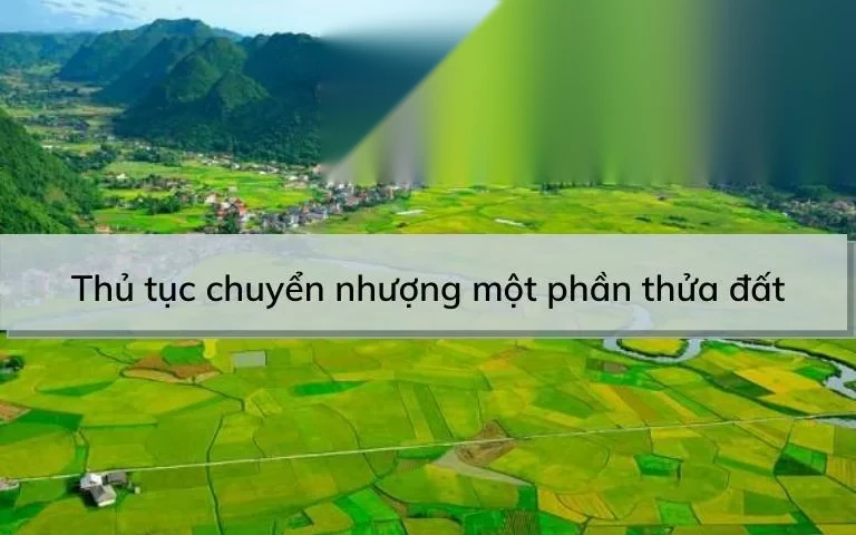 thu tuc chuyen nhuong mot phan thua dat image 01