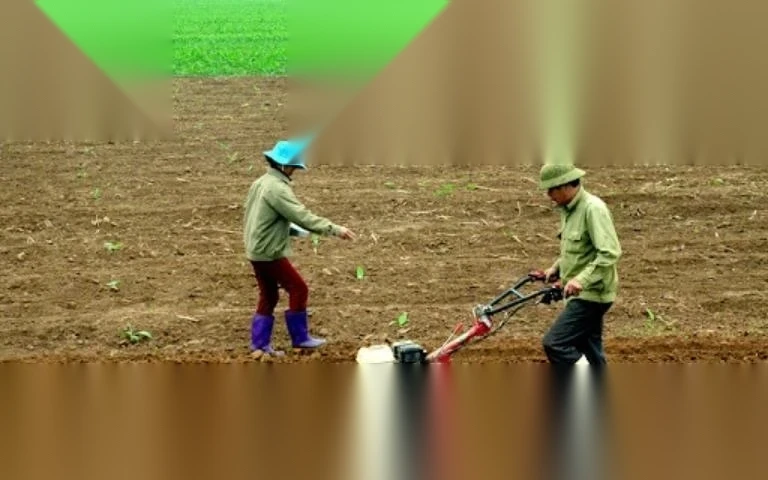 thu tuc thu hoi dat cong ich image 01