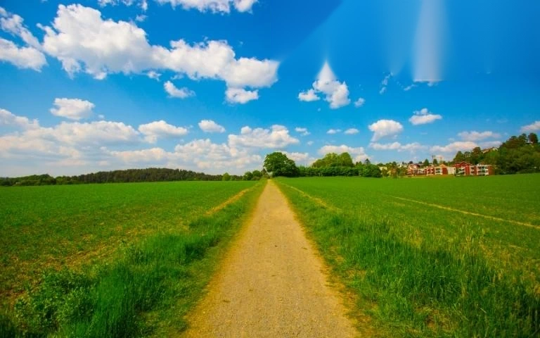 thu tuc thue dat nong nghiep image 01