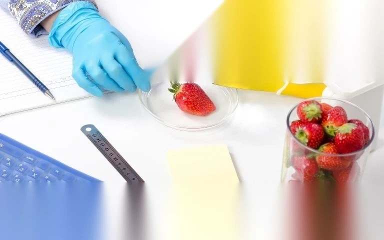 thu tuc xin giay phep kiem dich thuc vat nhap khau image 01