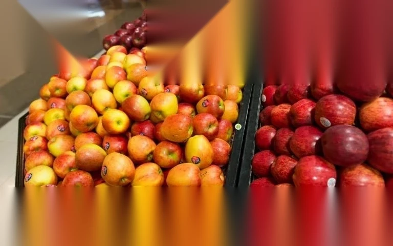 thu tuc xin giay phep nhap khau trai cay image 01