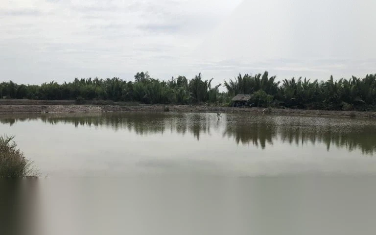 thu tuc xin thue dat nuoi trong thuy san image 01