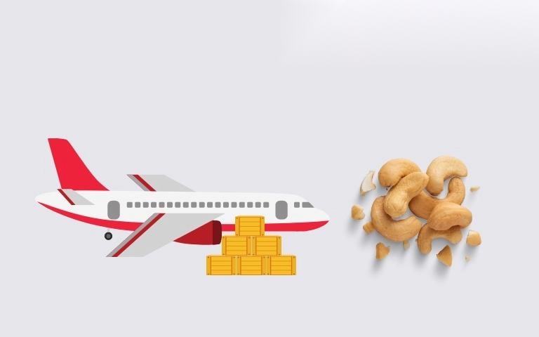 Thuế và thủ tục xuất khẩu hạt điều