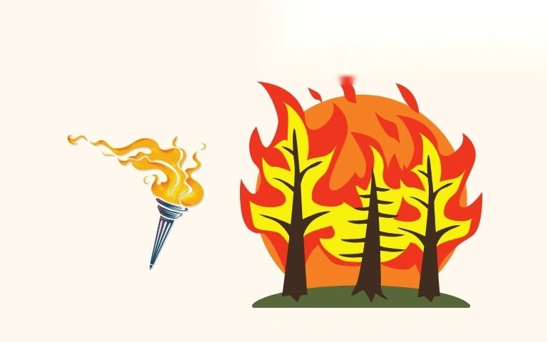 toi huy hoai rung co the bi phat tu bao nhieu nam image 01