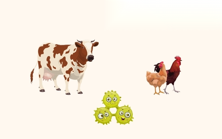 toi lam lay lan dich benh nguy hiem cho dong vat thuc vat image 01