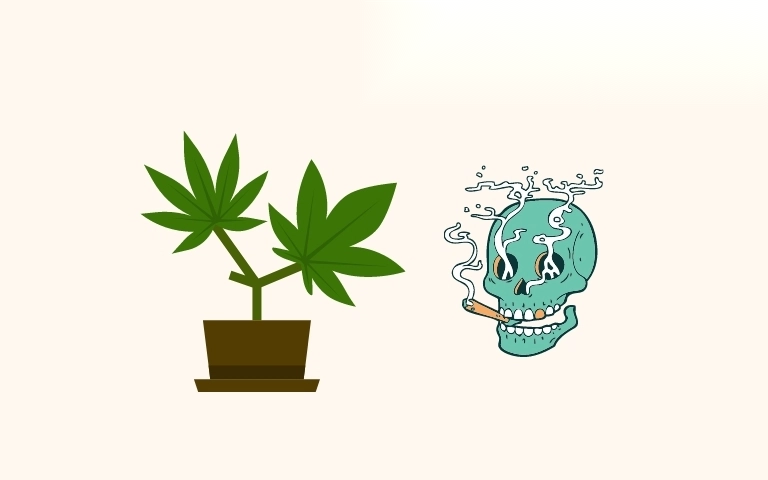 toi trong cay thuoc phien image 01