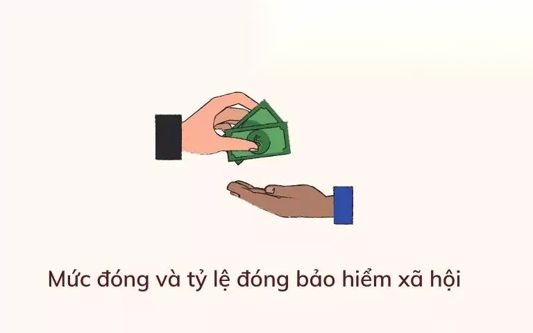 tong hop muc dong va ty le dong bao hiem xa hoi qua cac nam image 01