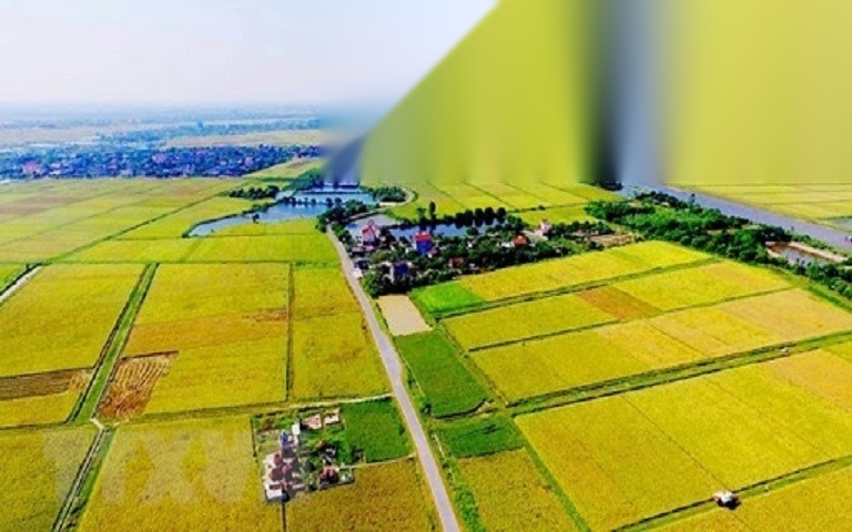 tranh chap dat dai khong co di chuc image 01