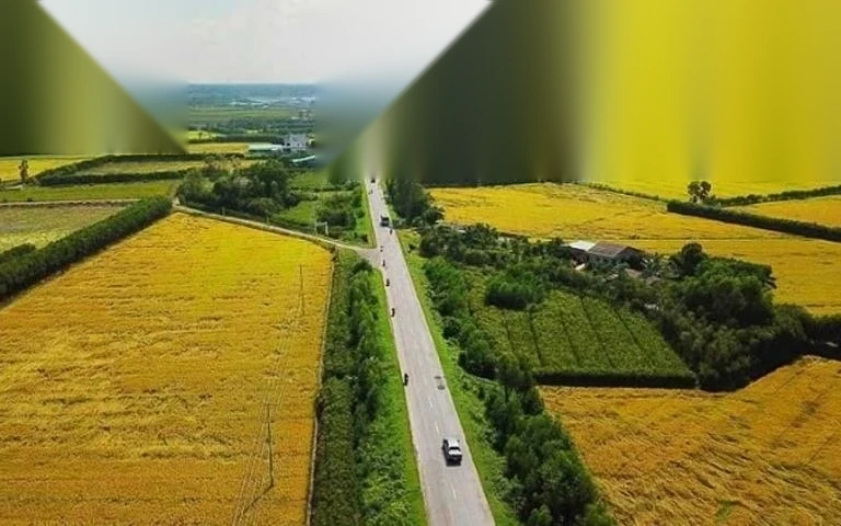 trinh tu thu tuc cho thue dat cong ich image 01