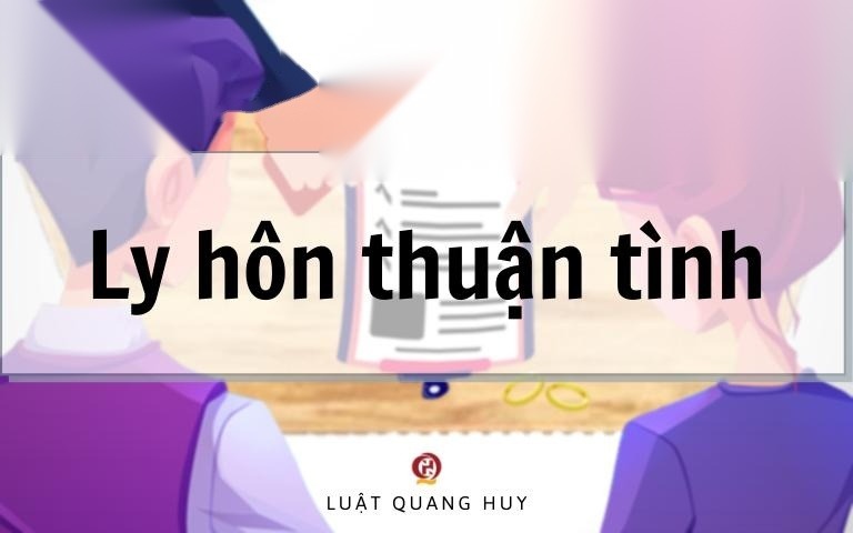 tu a z nhung dieu can biet ve ly hon thuan tinh image 01