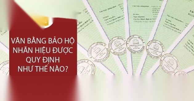 van bang bao ho nhan hieu image 01