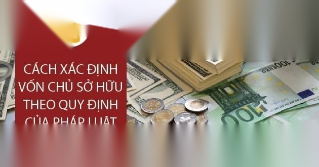 von chu so huu image 01